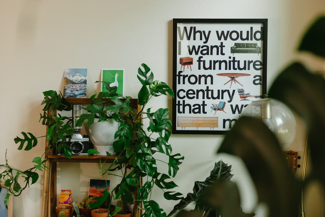 https://static.ws.126.net/163/frontend/images/2022/empty.png